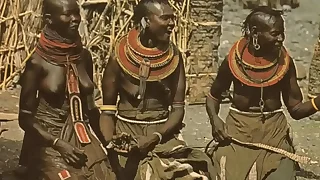 277 natural tits porn videos